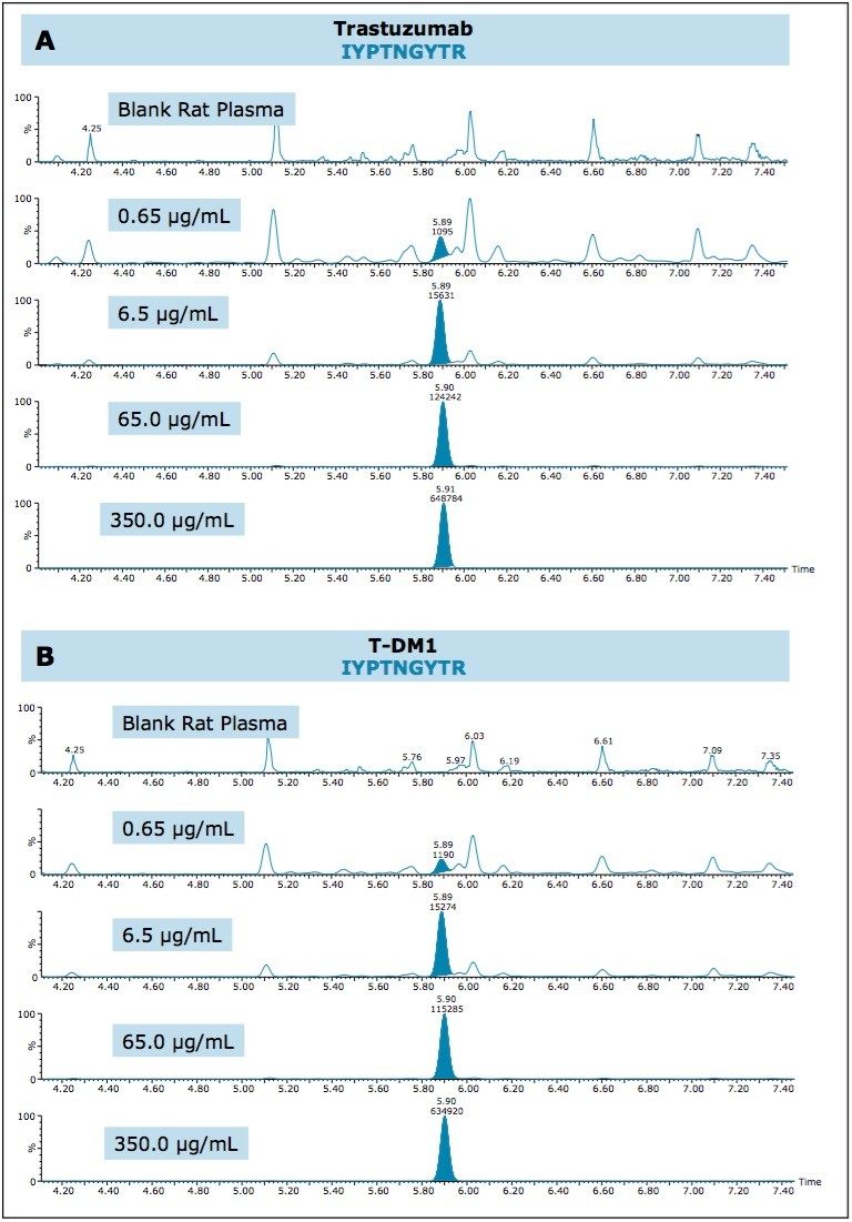Figure 1. QC chromatograms of Trastuzumab (A) and T-DM1 (B) for the IYPTNGYTR unique signature peptide.