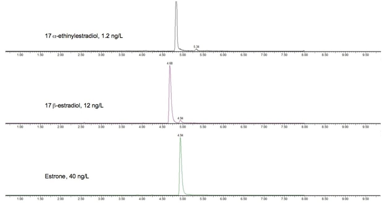 Example of chromatography on the ACQUITY UPLC BEH C18 Column in Elga water.