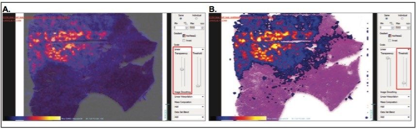 Effect of the transparency (A) and intensity threshold cut-off (B) on the ion images