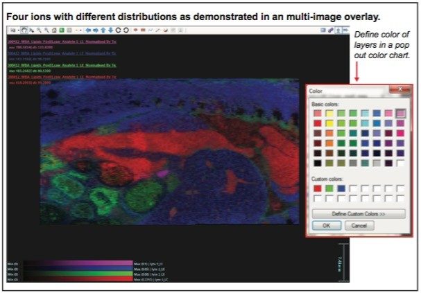 Multiple images overlaid to show differing distributions of four ions