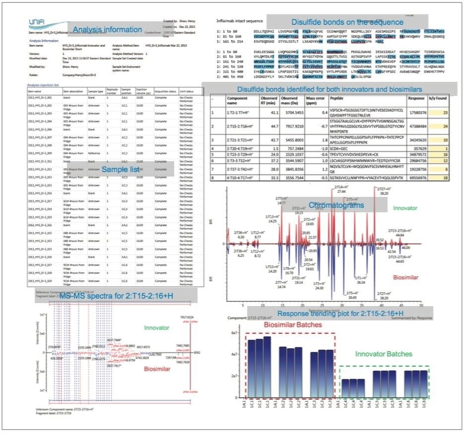 Example of a typical disulfide bond mapping report