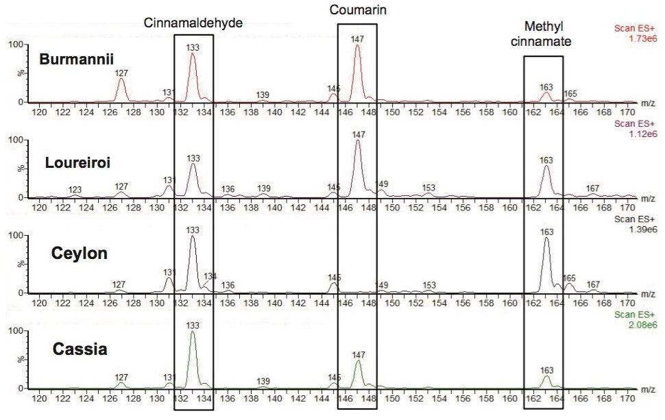 Figure 3. DART-MS analysis of four known ground cinnamon species. 