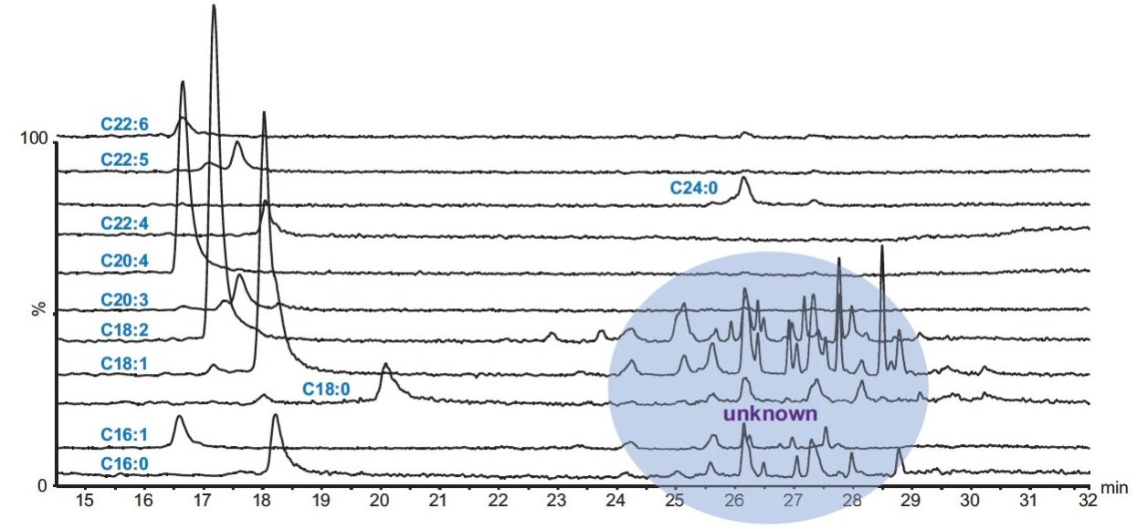 Selected XIC of the free fatty acids in the sample. 
