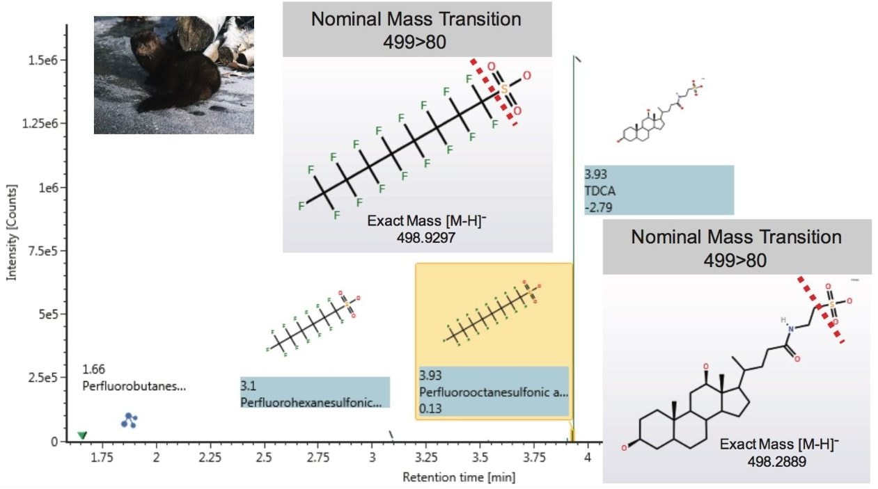 PFOS identification in mink liver samples chromatographically 