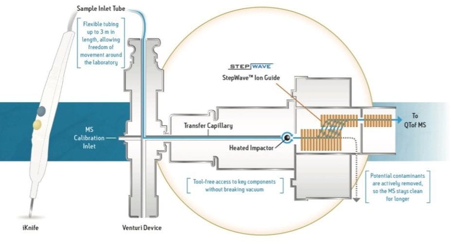 The REIMS source and sampling device