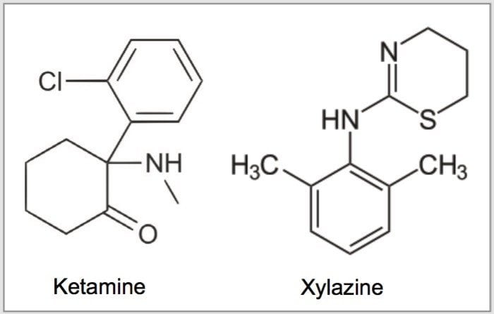  Chemical structure of xylazine and ketamine