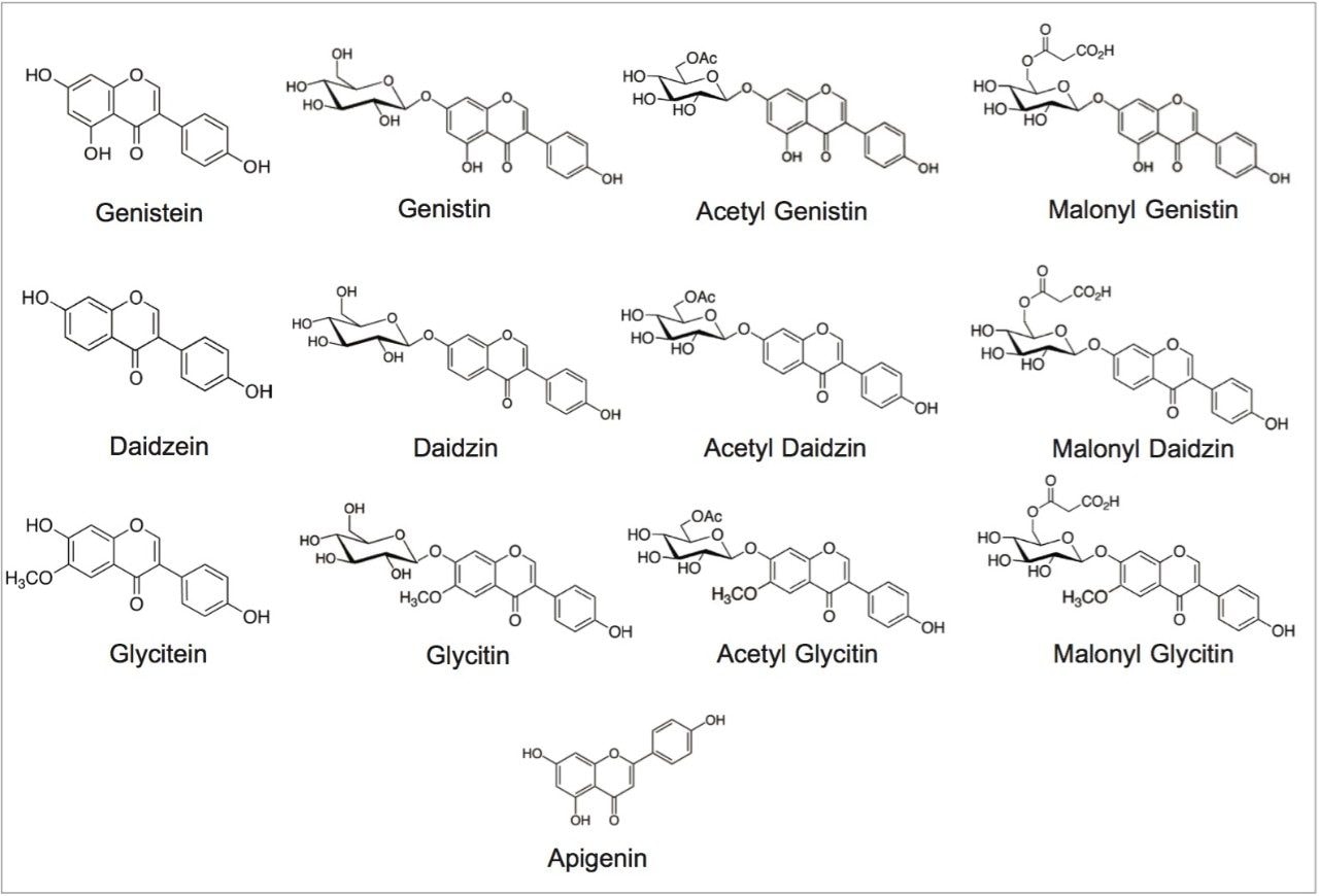  Structures of isoflavones 