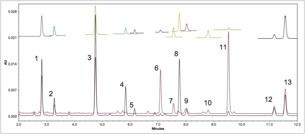 UV chromatograms of unheated defatted soy
