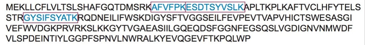 Amino acid sequence of human CRP; tryptic peptides used for quantification are highlighted in blue.