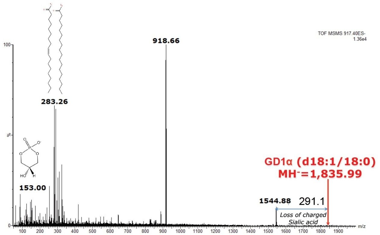 DESI MS-MS spectrum.