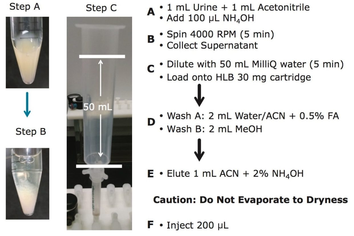 Optimized reversed-phase extraction protocol for urine matrix.