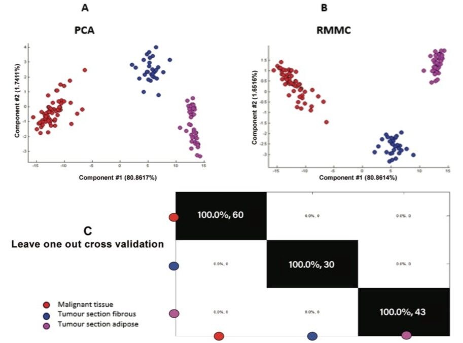 Cross validation accuracy of different tissue types within a single breast section for the negative ion mode data.