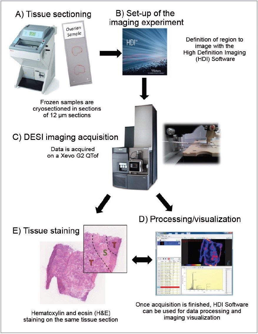 DESI imaging workflow