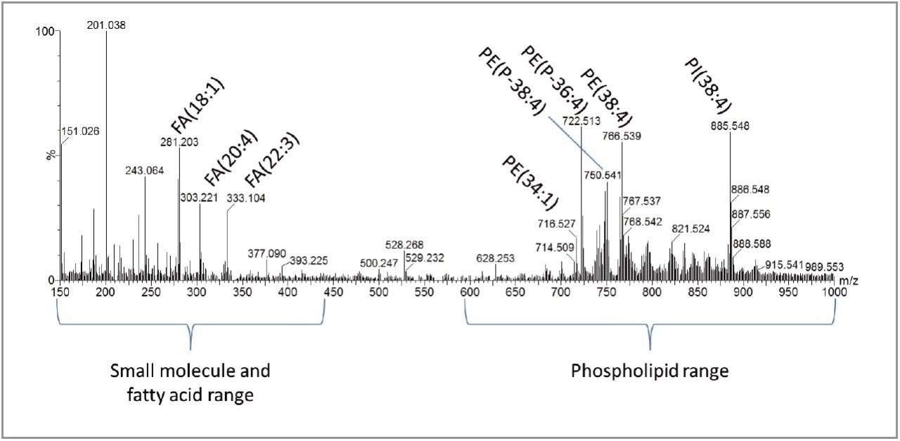 Average DESI-MS spectrum from tumor tissue acquired in negative ion mode