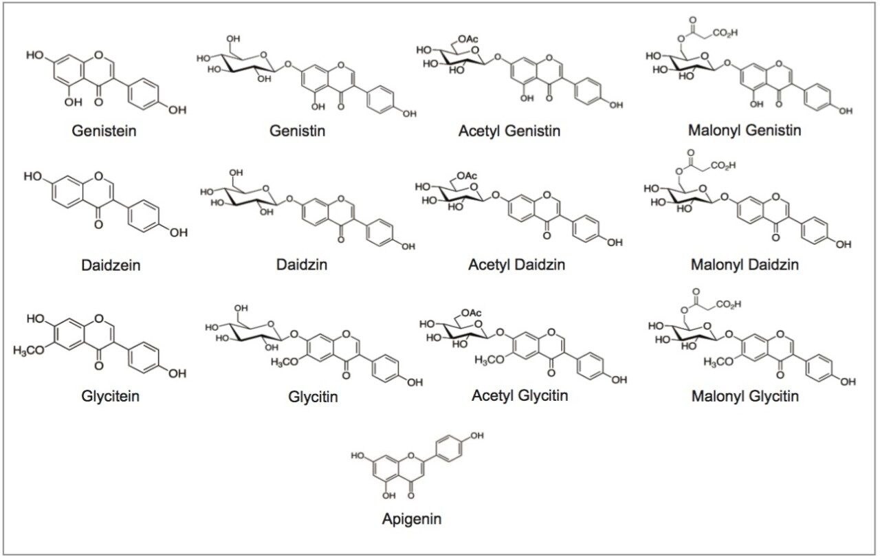 Structures of the isoflavones in this study