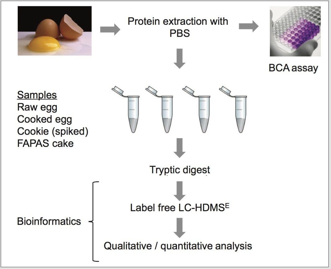 Experimental design study for egg allergen proteins