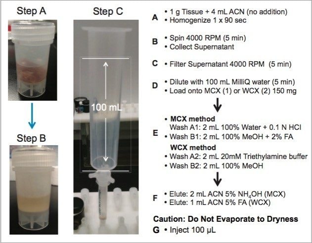 Final extraction protocol for human tissue samples