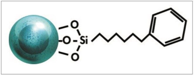 Phenyl ligand attached to the CORTECS solid-core base particle