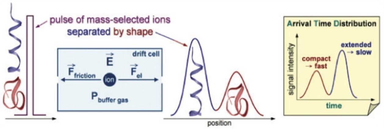 Schematics for the principle of ion separation in an ion mobility device. 