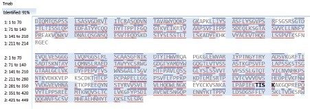 Sequence coverage map of trastuzumab with fragmentation information obtained by data-independent acquisition (MSE). 
