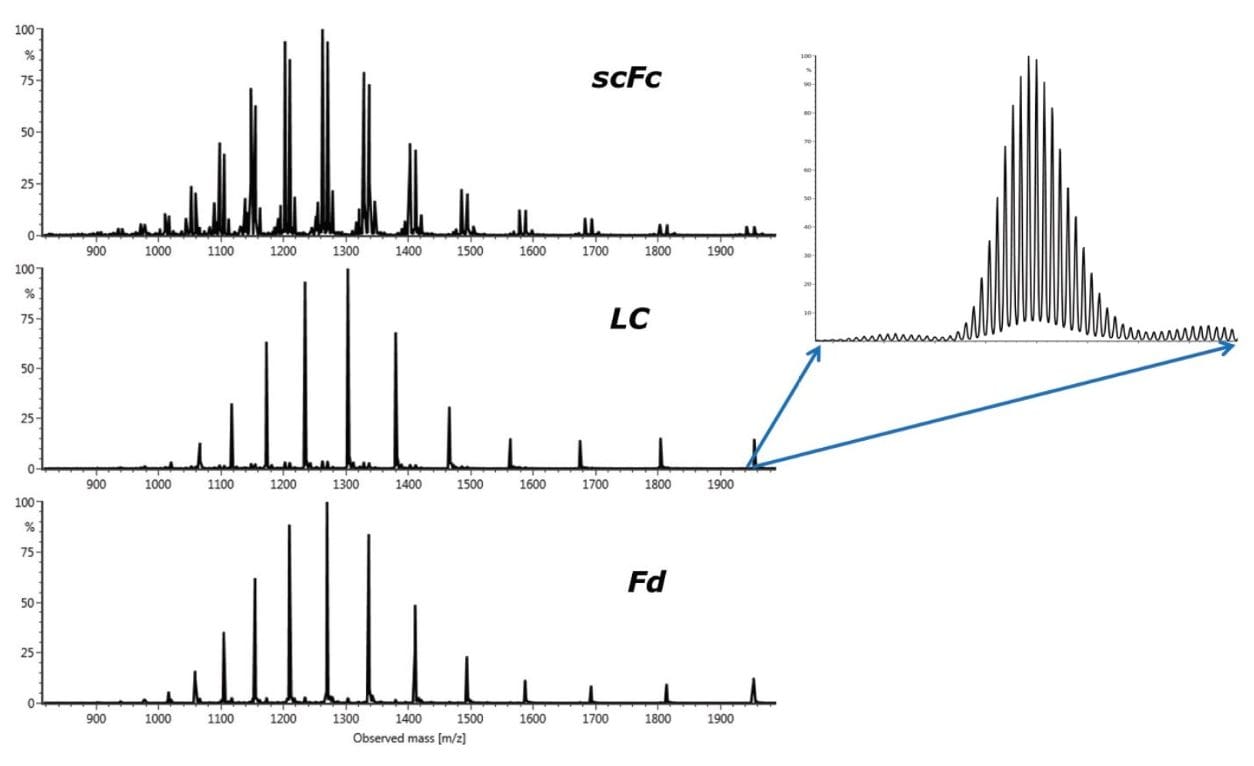 Combined raw spectra for the trastuzumab (50 ng on-column) subunits scFc, LC, and Fd.