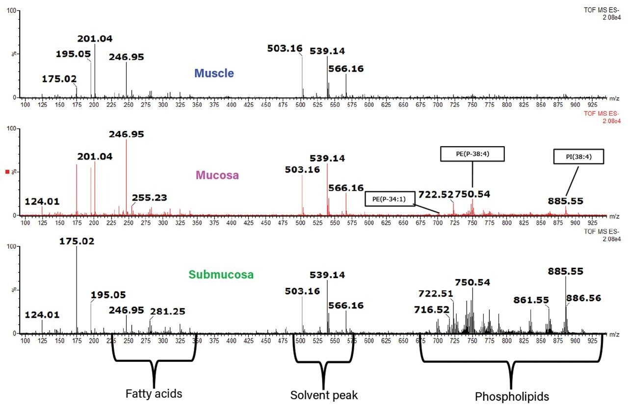 Averaged mass spectra acquired in negative ion mode 