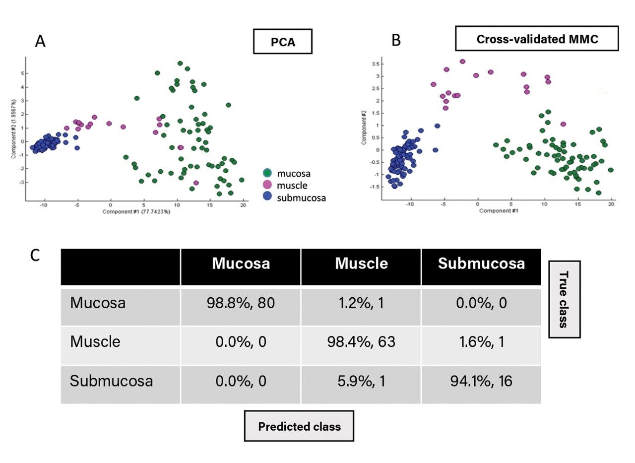 Statistical analysis using an in house imaging toolbox