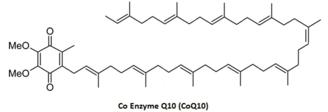 Structure of Coenzyme Q10