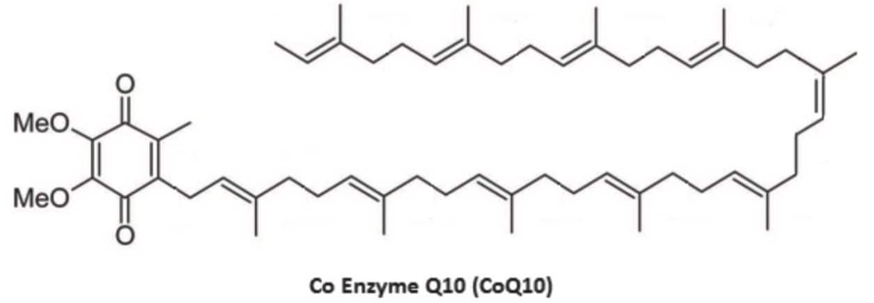 Structure of Coenzyme Q10 