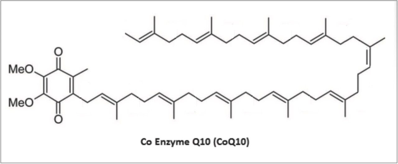 Advantages of CORTECS UPLC T3 Columns for the Detection of Coenzyme Q10
