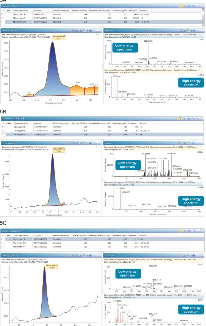 Summary of results for the  lake sample; 5B.Summary of results for the dock sample; 5C. Summary of results for the scum sample.