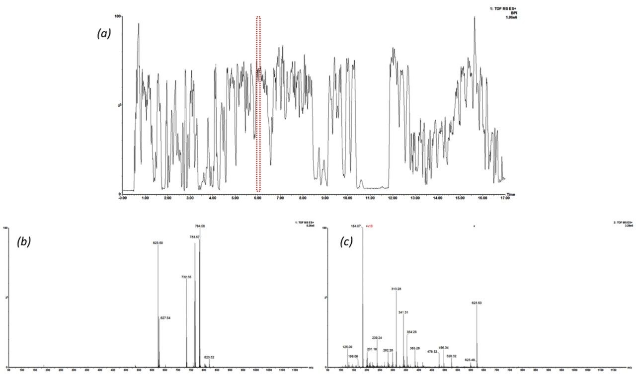 (a) Representative chromatogram of a liver extract. (b) and elevated (c) energy spectra. 
