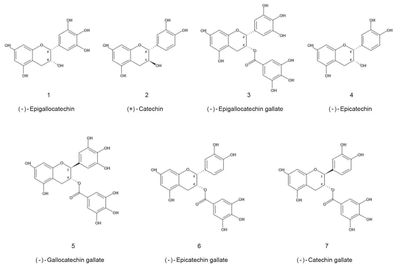 Structures of seven catechins.
