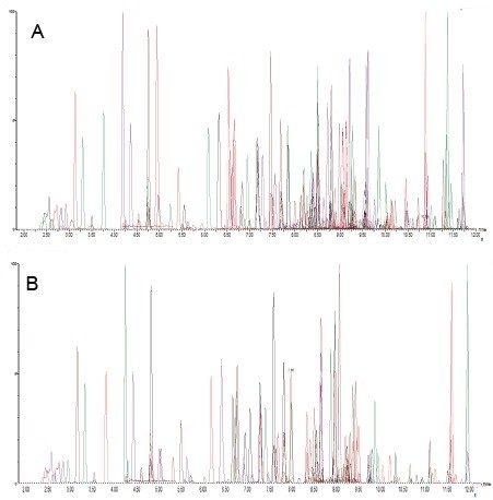 Total ion chromatogram of pesticides in A. green beans,  and B. white grapes.