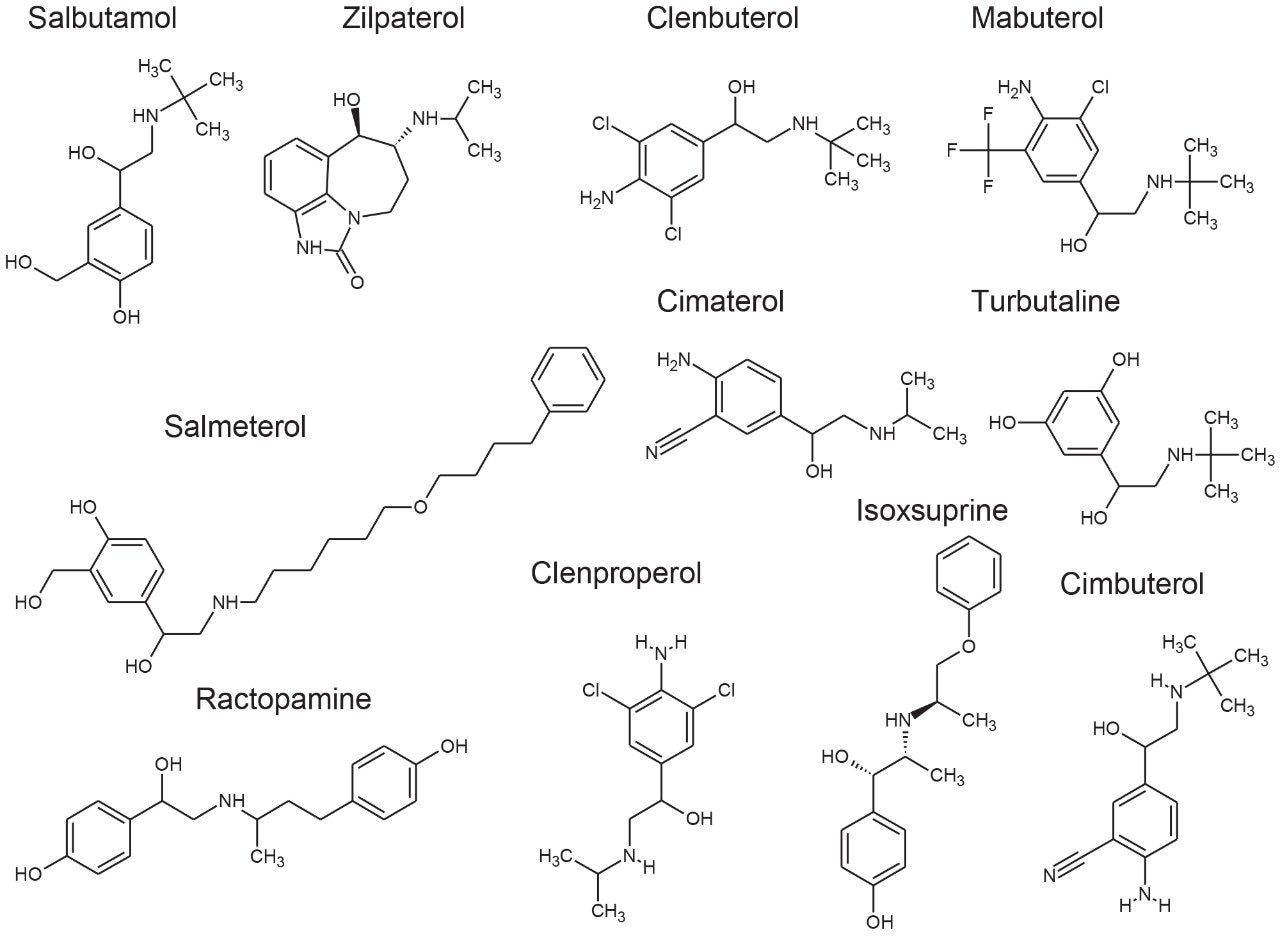 Structures of some of the key β-agonists