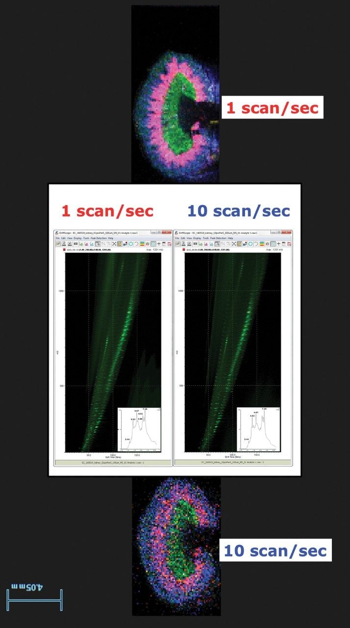 MS spectra and RGB results from DESI IMS imaging at 1 and 10 scans/sec on kidney tissue section. 