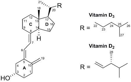 Structures of vitamin D3 (cholecalciferol) and vitamin D2 (ergocalciferol).