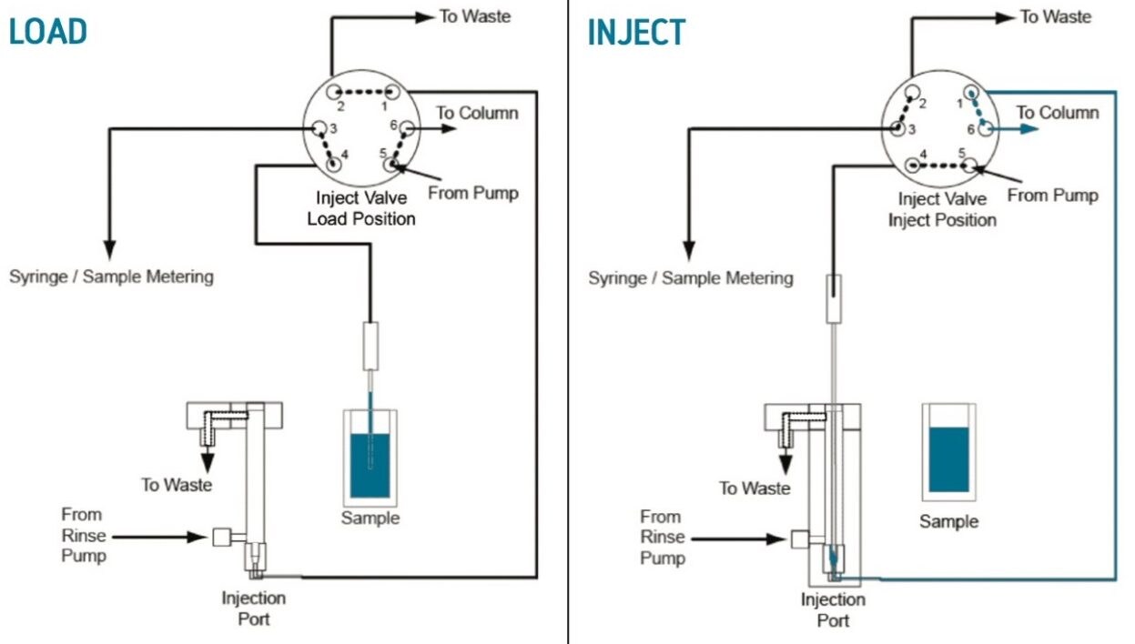 The fluidic path of the ACQUITY UPLC PLUS Series FTN Sample Manager in both the load and inject positions.