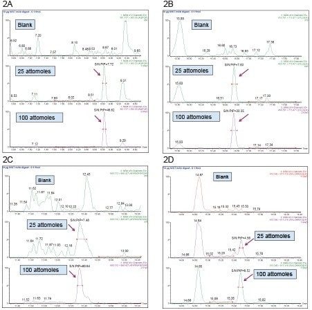 LC-MRM chromatograms recorded for T10 (panel A), T16 (panel B), T34 (panel C) and T39 (panel D) PLBL2 tryptic peptides spiked  in the NIST mAb digest. Two chromatograms are shown for each peptide, one obtained at the LOQ of the assay (0.00625 nM concentration or  25 attomoles on-column) and the other at a higher concentration 4 times above the LOQ (0.0125 nM or 100 attomoles on-column). Each of the  four panels includes the corresponding NIST mAb digest blanks (with no PLBL2 spiked peptides). The calculated single-to-noise (S/N) ratios  are indicated as well.