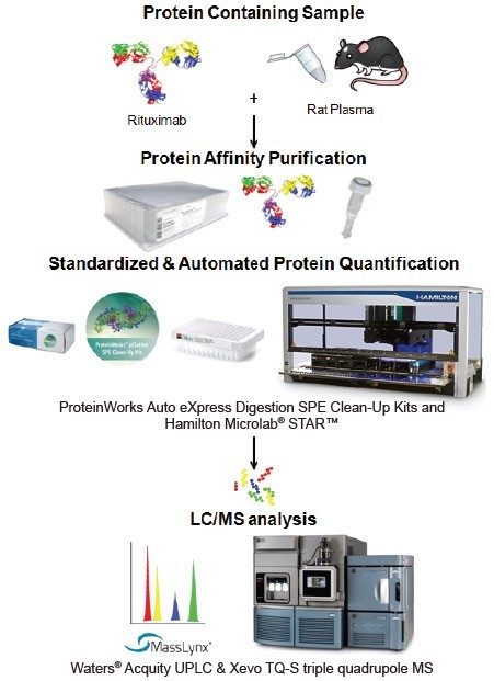 Figure 1. Standardized and automated LC-MS/MS protein quantification workflow using ProteinWorks Auto-eXpress Digest and µElution SPE Clean-Up Kits with the Hamilton Microlab STAR liquid handler (STAR) to streamline the process, maximize productivity, reduce errors, and improve analytical method performance.