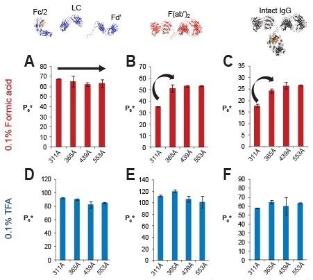 Effective peak capacities of different mAb species obtained using stationary phases having various average pore diameters and either 0.1% formic acid (FA) or 0.1% trifluoroacetic acid (TFA) modified mobile phases. FA chromatography of A) Waters mAb Subunit Standard, B) the F(ab’)2 subunit of infliximab and C) the Waters Intact mAb Mass Check Standard. TFA chromatography of D) Waters mAb Subunit Standard, E) the F(ab’)2 subunit of infliximab, and F) the Waters Intact mAb Mass Check Standard.