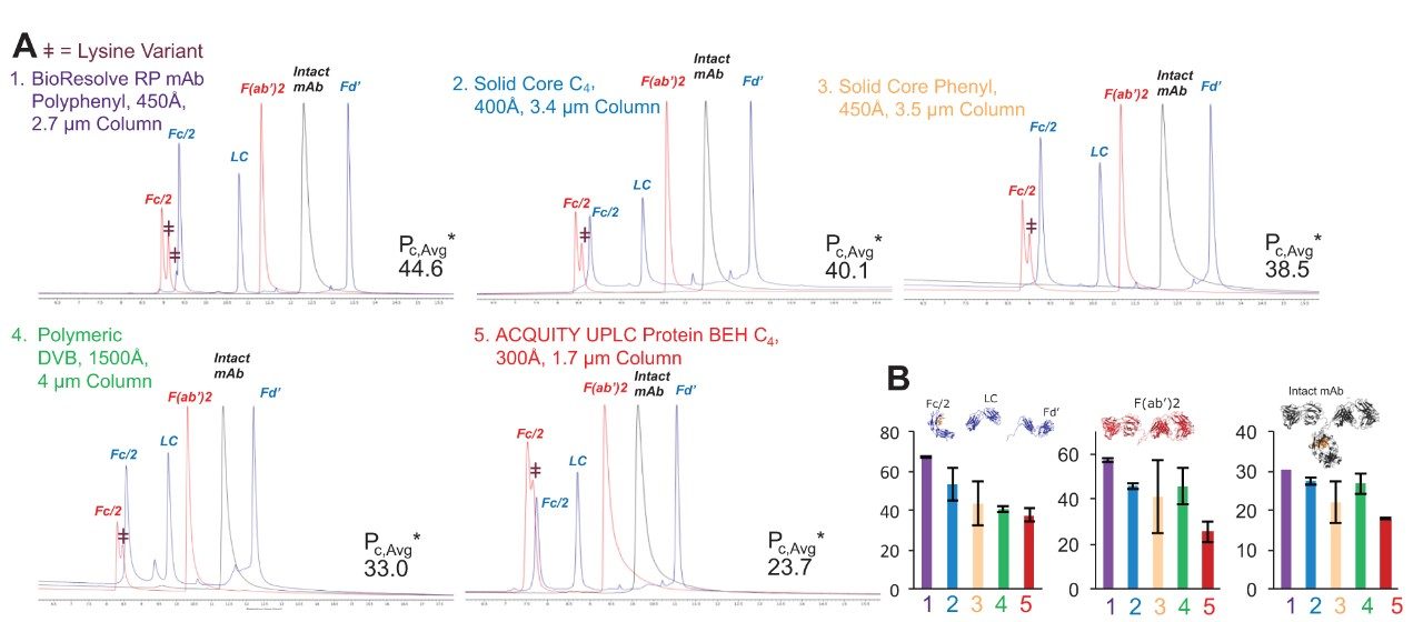 Figure 3. A) Chromatography and average effective peak capacities (n=2) of different mAb species obtained using various columns and 0.1% formic acid (FA) modified mobile phase. B) FA-effective peak capacities of NIST mAb subunits, the F(ab')2 subunit of infliximab and the Waters Intact mAb Mass Check Standard. These results were obtained with 2.1 x 50 mm columns, column temperature of 80 ˚C, flow rate of 0.2 mL/min, and 1 µg mass loads.