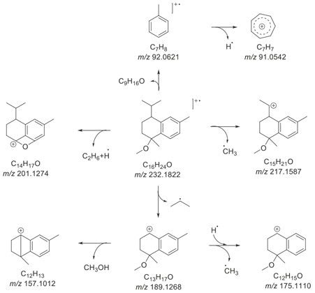 Proposed fragmentation pathway of the molecular ion M+·. Fragment ions are defined by their molecular formula and exact mass-to-charge ratio.