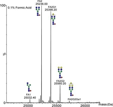 An example spectrum shows the MaxEnt 1 charge deconvoluted scFc fragment. 