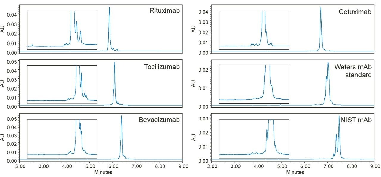 Separation of intact antibodies using a BioResolve RP mAb Column. 