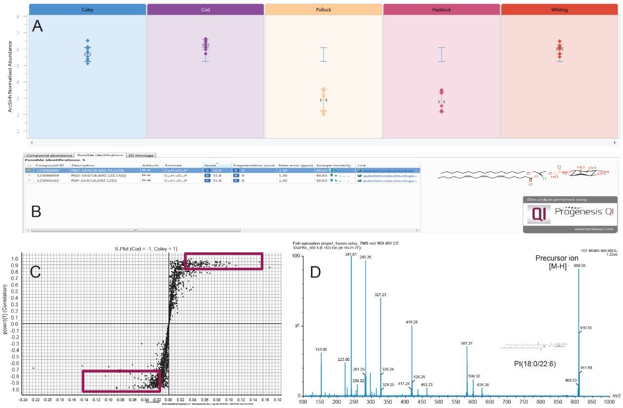 Figure 5. Relative abundance of the feature at m/z 909.5 across the five fish species (A), possible identifications following database searching against LipidMaps (B) OPLS-DA S-plot model for cod and coley species (C), and REIMS MS/MS fragmentation spectra obtained for m/z 909.5 (D).