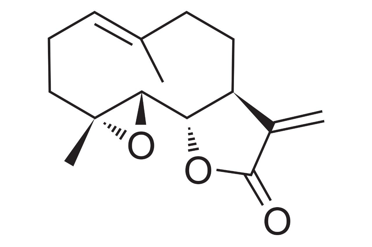 Chemical structure of parthenolide, MW = 248.