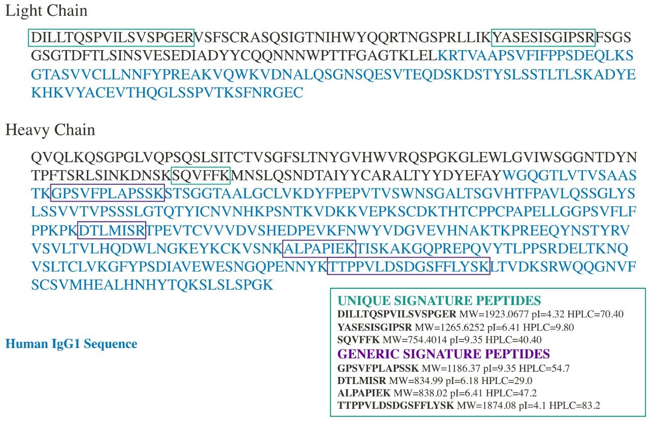 Figure 1. Protein sequence of cetuximab; surrogate peptides used for quantification are boxed in purple and green.