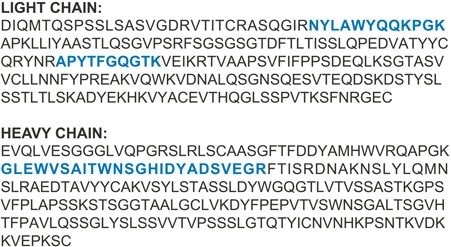 Amino acid sequence of adalimumab; tryptic peptides used for quantification are highlighted in blue.