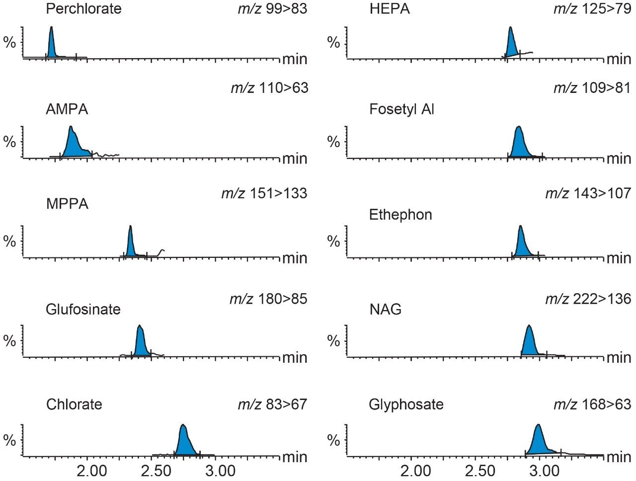 Typical chromatograms showing anionic polar pesticides.